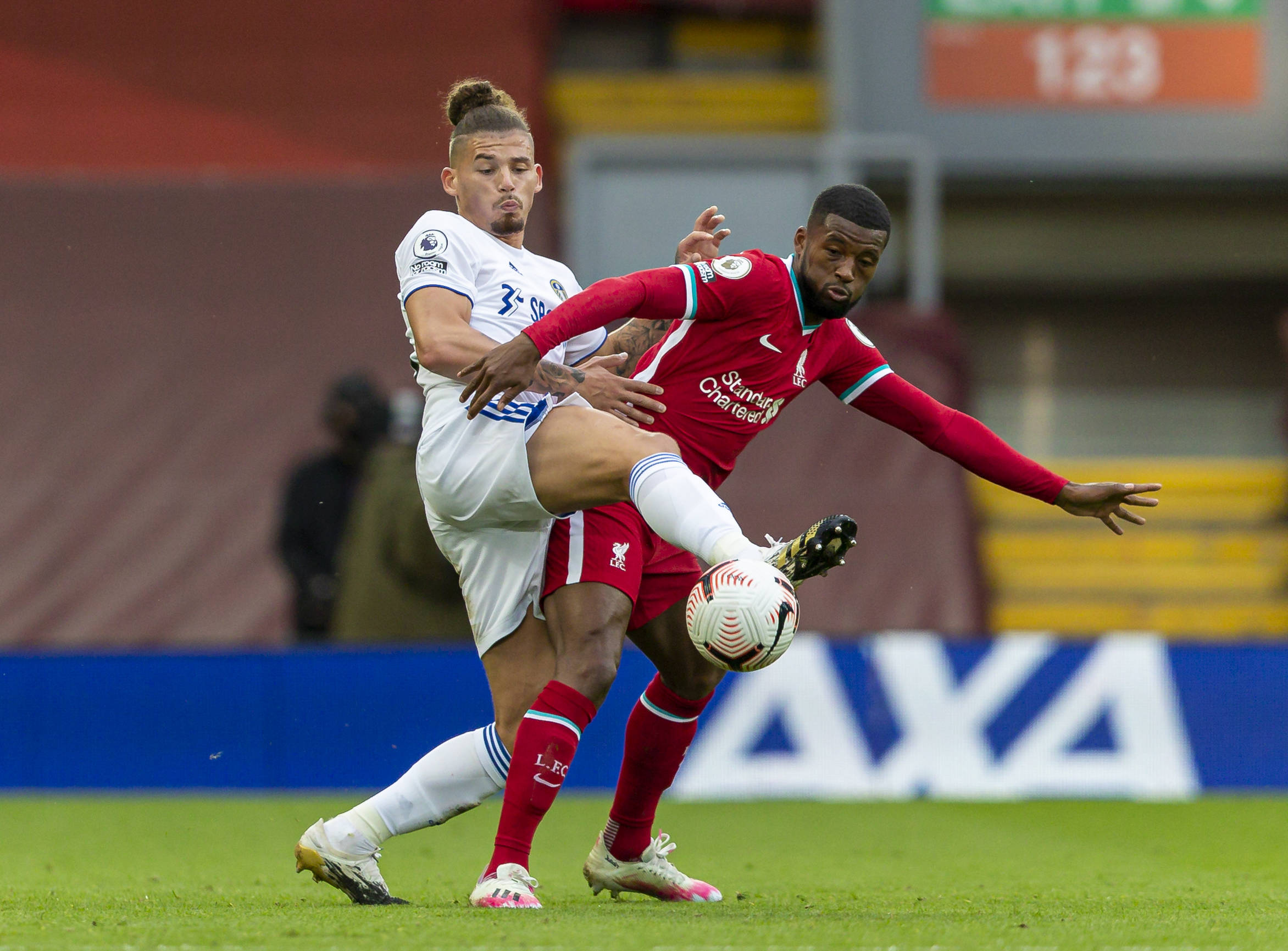 德国和日本 德国和日本